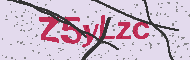 Codice captcha