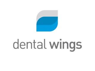 Logo Dental Wings web.jpg