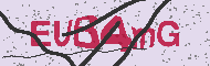 Codice captcha